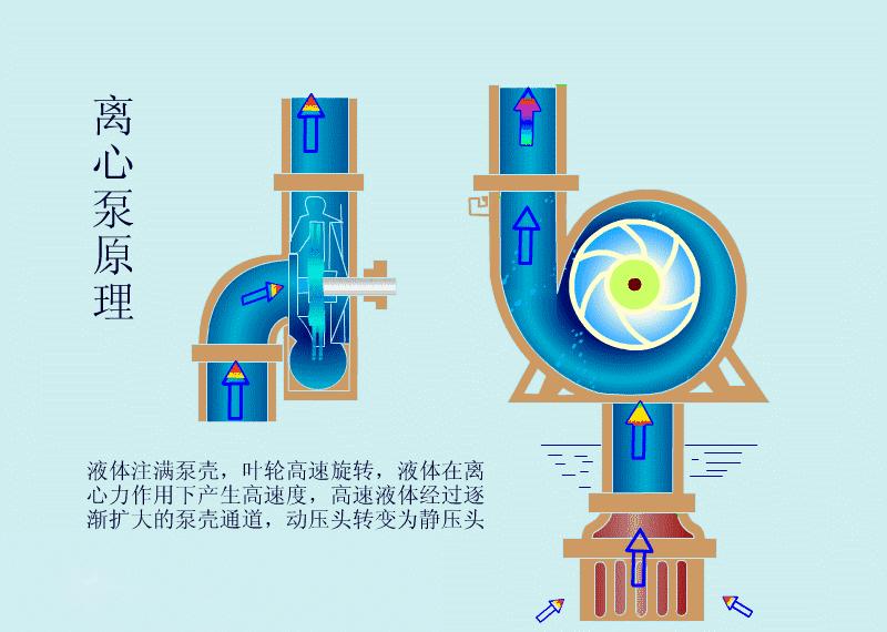 离心泵构造动画演示视频