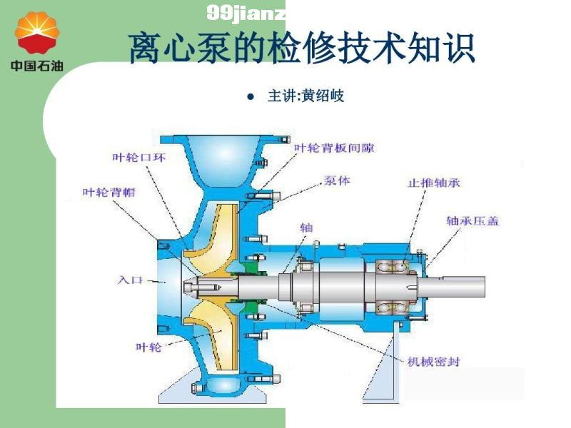 立式离心泵结构图详解及部件名称介绍