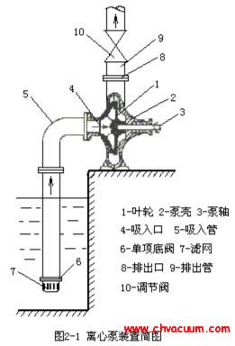 离心泵简图与工作原理解析