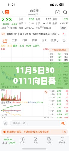 探访隐藏版向日葵小店，揭秘独特风味与最新消息（11月5日更新）