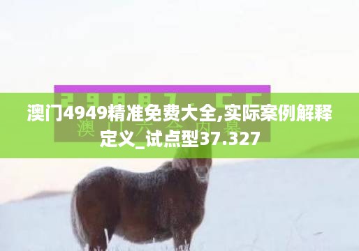 澳门4949精准免费大全,实际案例解释定义_试点型37.327