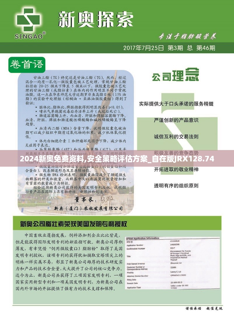 2024新奥免费资料,安全策略评估方案_自在版JRX128.74