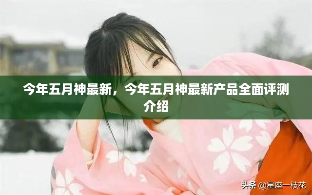 今年五月神最新产品全面评测介绍与解析