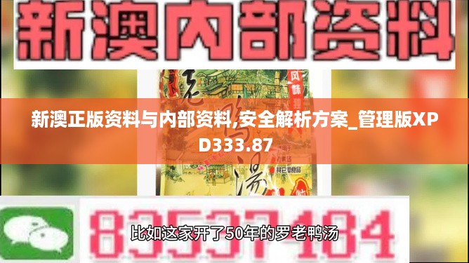 新澳正版资料与内部资料,安全解析方案_管理版XPD333.87