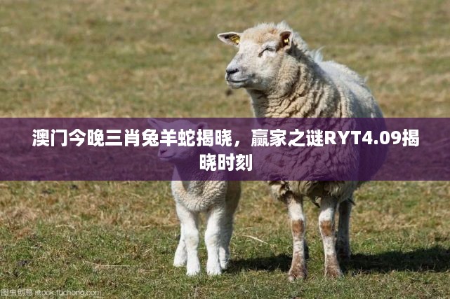 澳门今晚三肖兔羊蛇揭晓，赢家之谜RYT4.09揭晓时刻