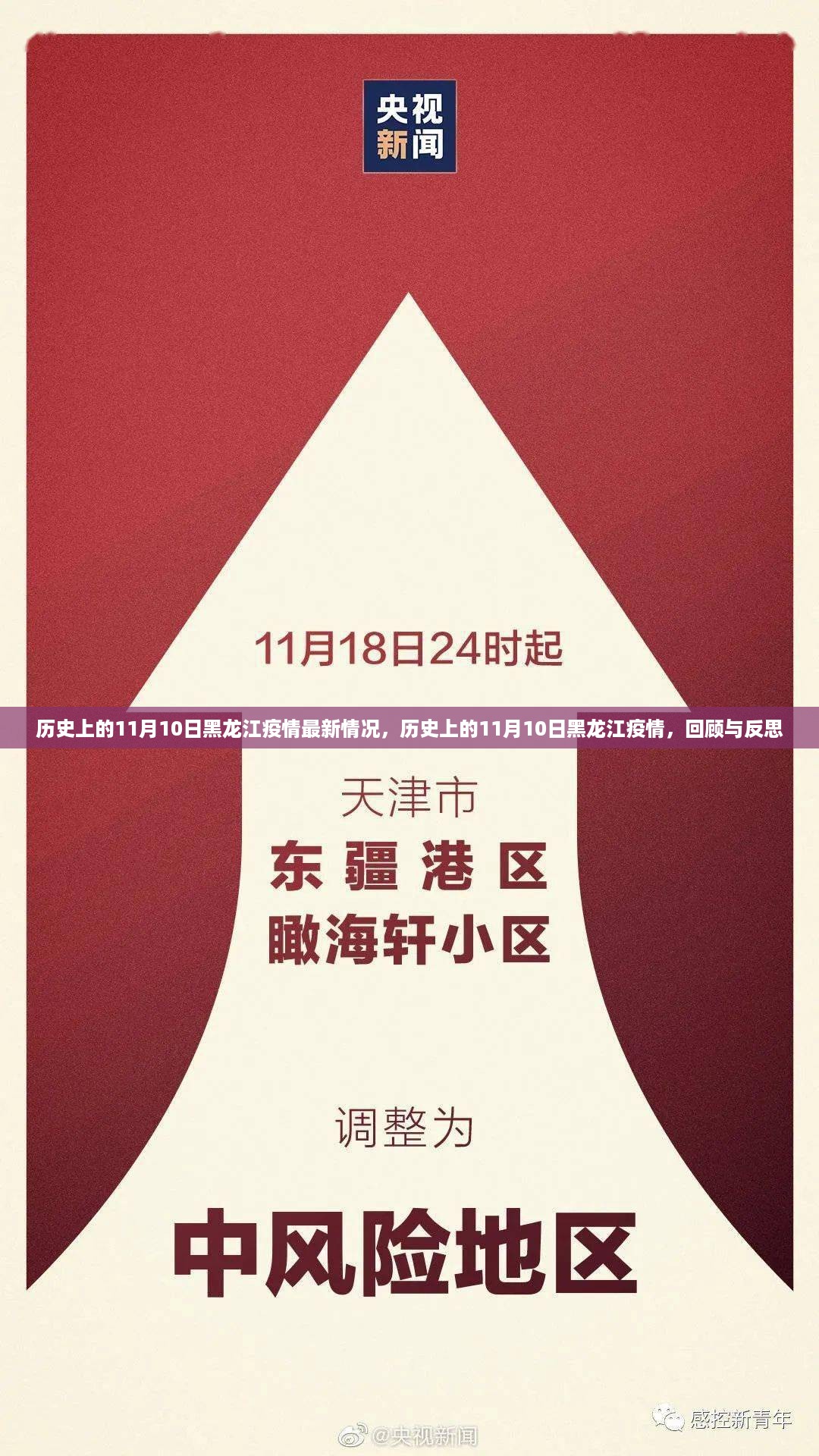 历史上的11月10日黑龙江疫情回顾与反思，最新情况一览