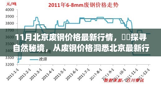 11月北京废钢价格最新动态，洞悉市场，启程自然秘境的心灵之旅