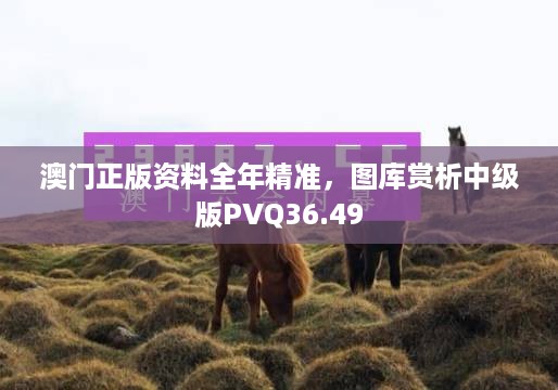 澳门正版资料全年精准，图库赏析中级版PVQ36.49