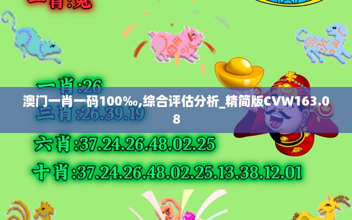 澳门一肖一码100‰,综合评估分析_精简版CVW163.08