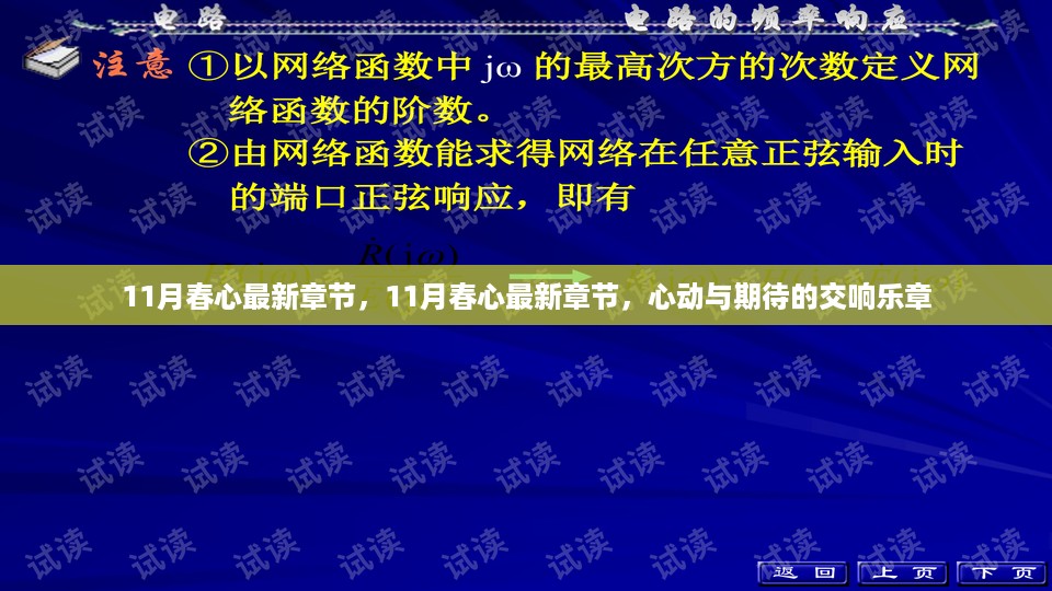 心动与期待的交响乐章，11月春心最新章节全览