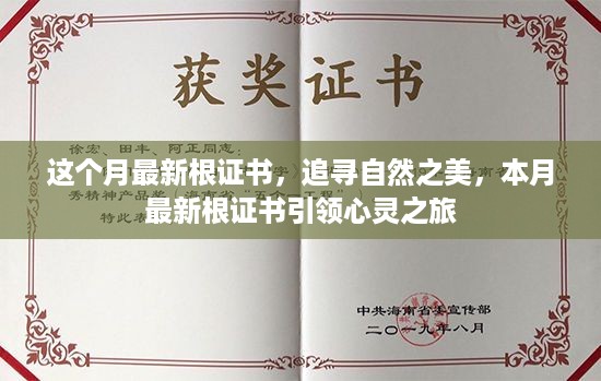 本月最新根证书，追寻自然之美，引领心灵之旅