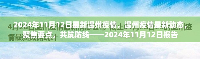 聚焦要点，温州疫情最新动态报告（2024年11月12日）——共筑防线