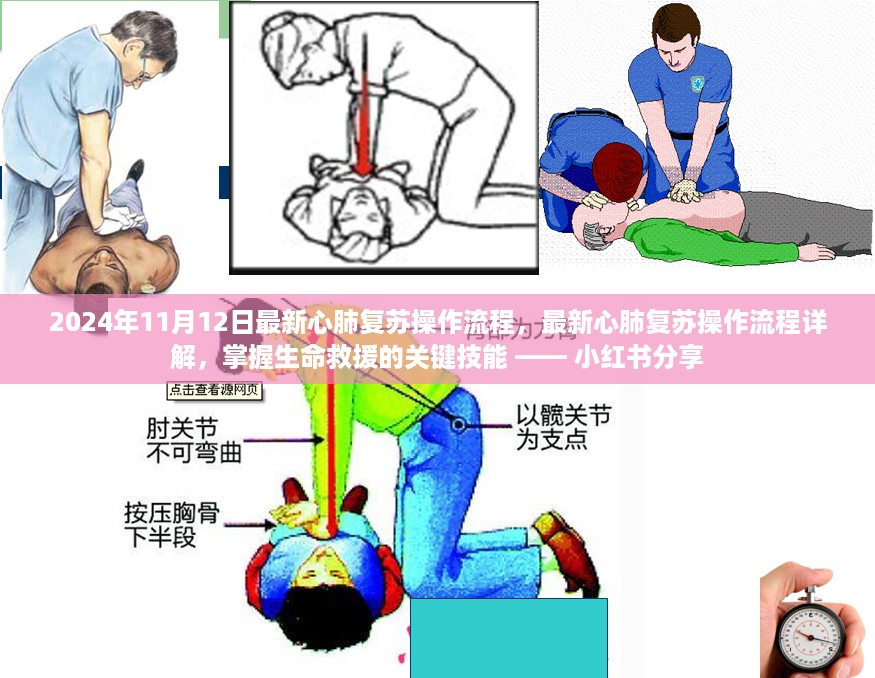 最新心肺复苏操作流程详解，掌握生命救援技能，小红书分享日（2024年11月12日）