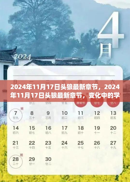 变化中的学习之旅，头狼最新章节与自信成就感的魔法钥匙（2024年11月17日更新）