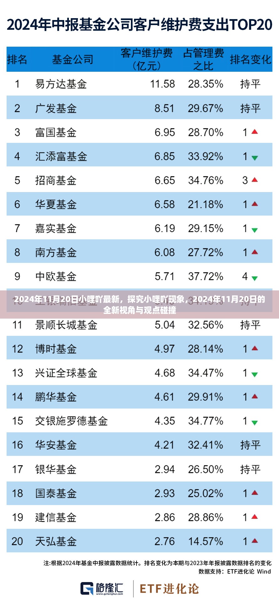 小哩吖现象深度探究，2024年11月20日的全新观点与视角碰撞