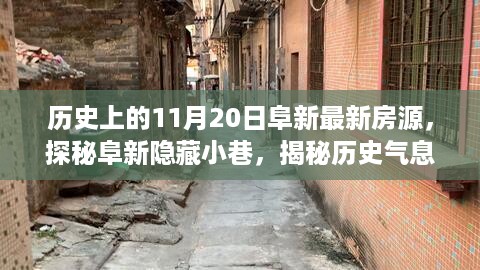 阜新历史房源探秘，特色小巷与历史气息浓厚的房源及独特小店魅力一览