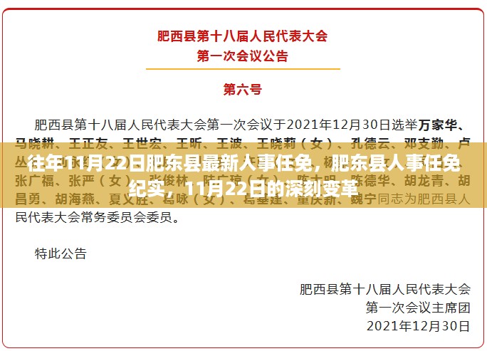 往年11月22日肥东县最新人事任免，肥东县人事任免纪实，11月22日的深刻变革