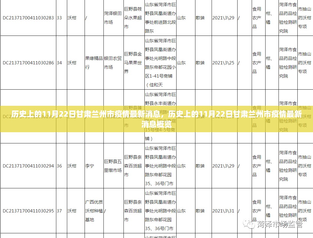 历史上的11月22日甘肃兰州市疫情消息概览与最新动态