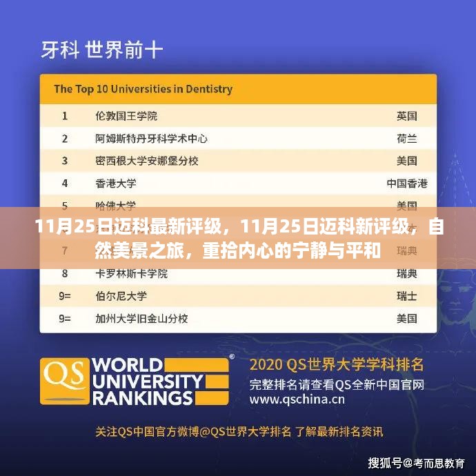 11月25日迈科新评级，自然美景之旅，重拾内心的宁静与平和