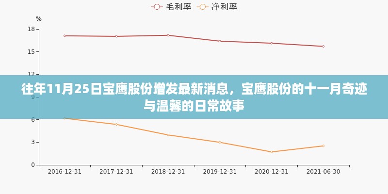 宝鹰股份十一月奇迹与日常故事回顾，最新增发消息揭秘温馨故事