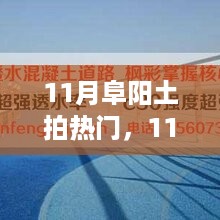 阜阳土拍热潮，铸就自信与成就之光的蜕变之路