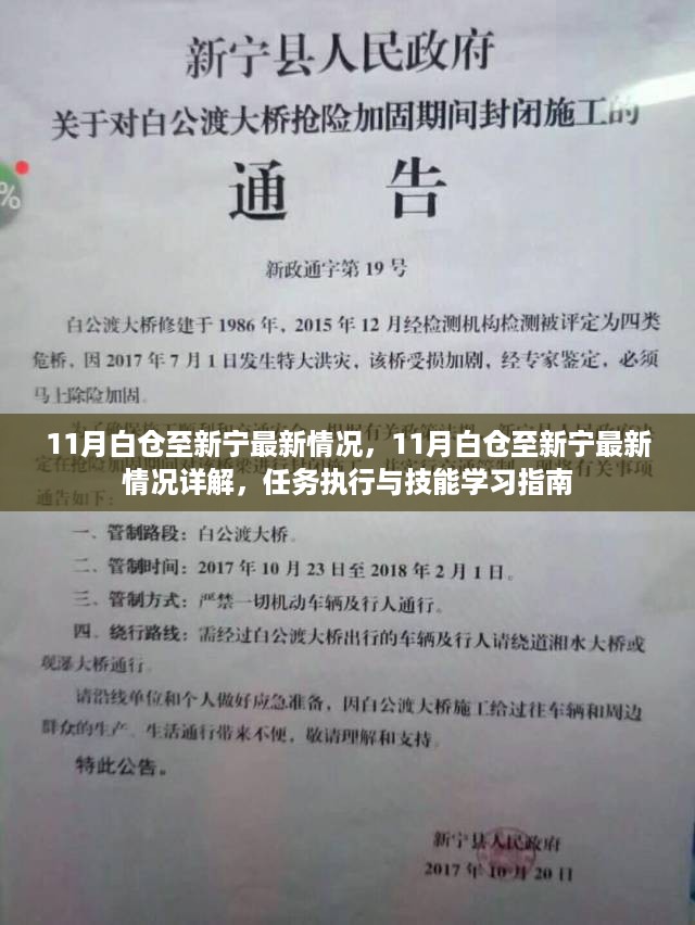 11月白仓至新宁最新动态详解，任务执行与技能学习指南