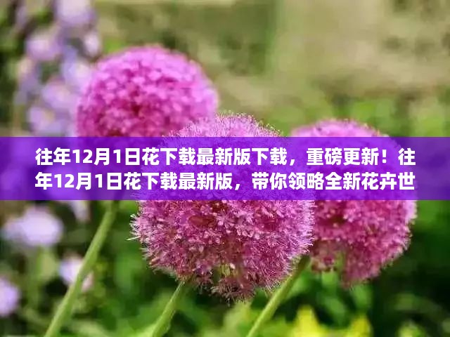 往年12月1日花下载最新版重磅更新，探索全新花卉世界