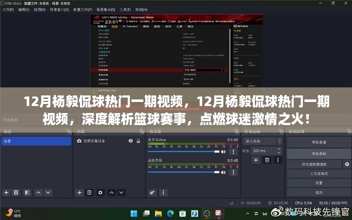 杨毅深度解析篮球赛事，点燃球迷激情之火——12月热门篮球视频热议
