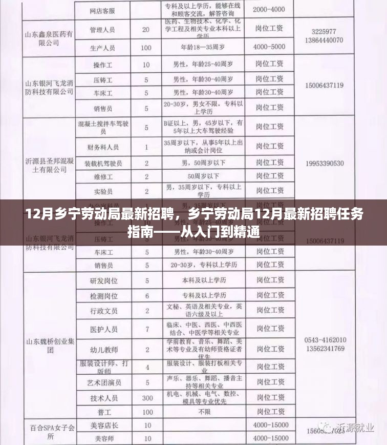 乡宁劳动局12月最新招聘全攻略，入门到精通，你的职业起点在这里！