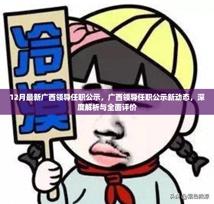 广西领导任职公示新动态，深度解析与全面评价