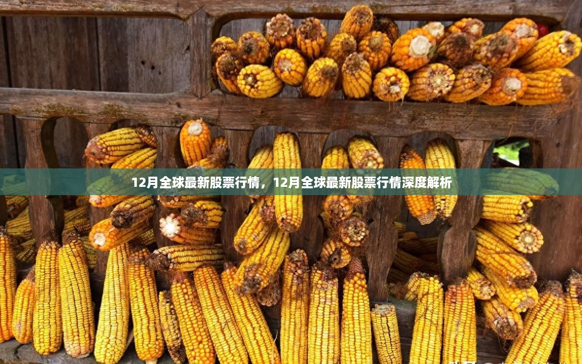 12月全球股票行情深度解析与最新动态