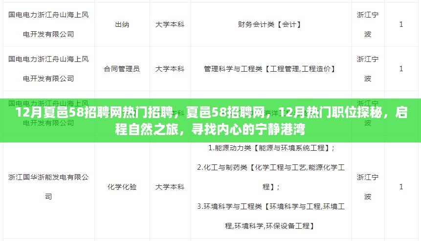 夏邑58招聘网12月热门职位探秘，启程寻找工作与内心的宁静港湾