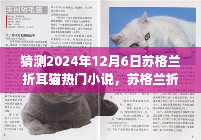 苏格兰折耳猫奇幻之旅，2024年热门小说预言揭秘