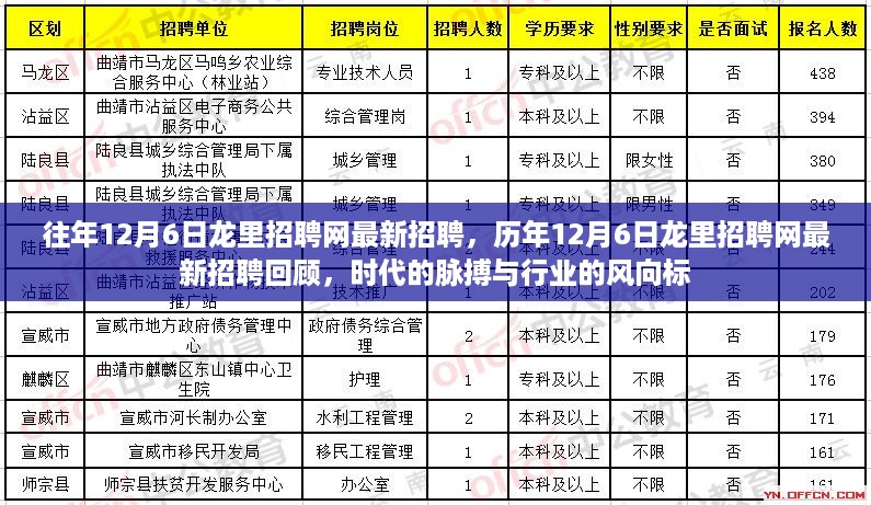 历年12月6日龙里招聘网回顾，最新招聘趋势与时代风向标