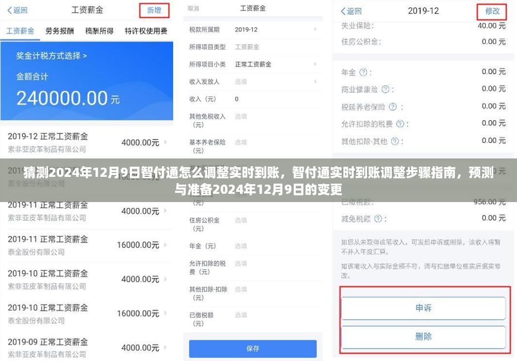 猜测2024年12月9日智付通怎么调整实时到账，智付通实时到账调整步骤指南，预测与准备2024年12月9日的变更