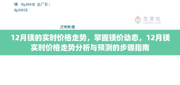 12月镁实时价格走势分析与预测，掌握镁价动态的全面指南