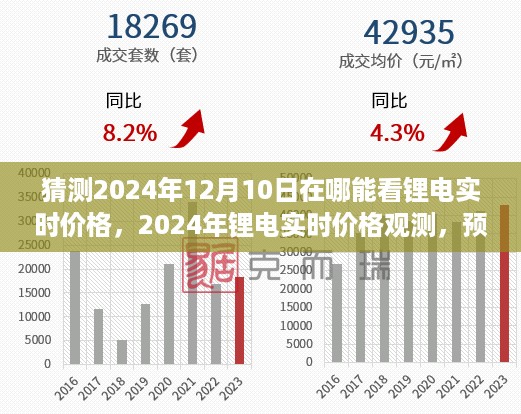 2024年锂电实时价格展望与平台预测，12月10日的行业趋势洞察