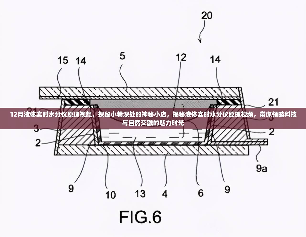 探秘液体实时水分仪原理，科技与自然交融的神秘小店揭秘视频