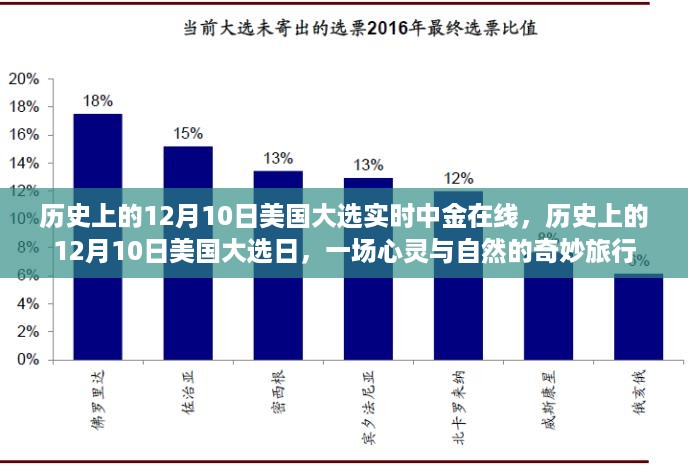 历史上的12月10日美国大选，实时追踪与心灵自然的奇妙旅程