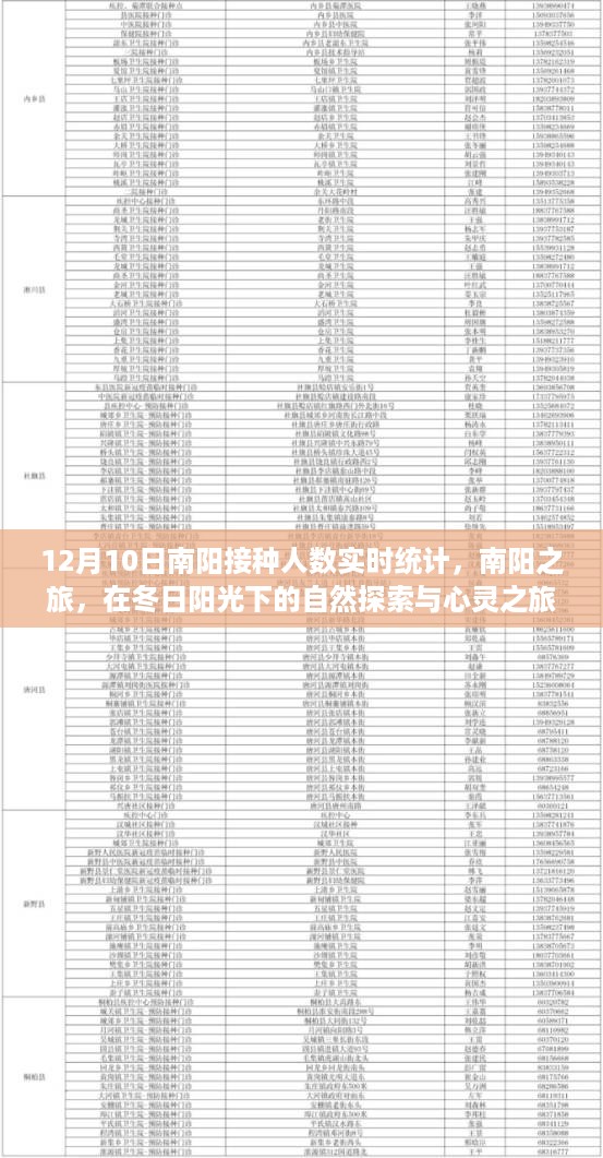 南阳接种人数实时统计，冬日阳光下的探索与心灵之旅