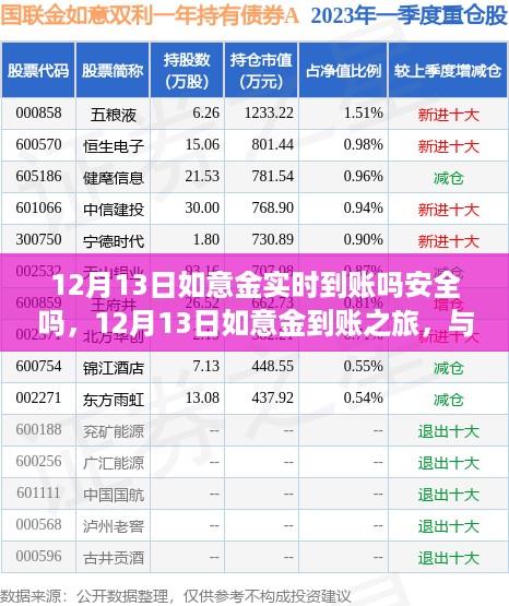 如意金到账之旅，实时到账安全性解析与美景的不解之缘