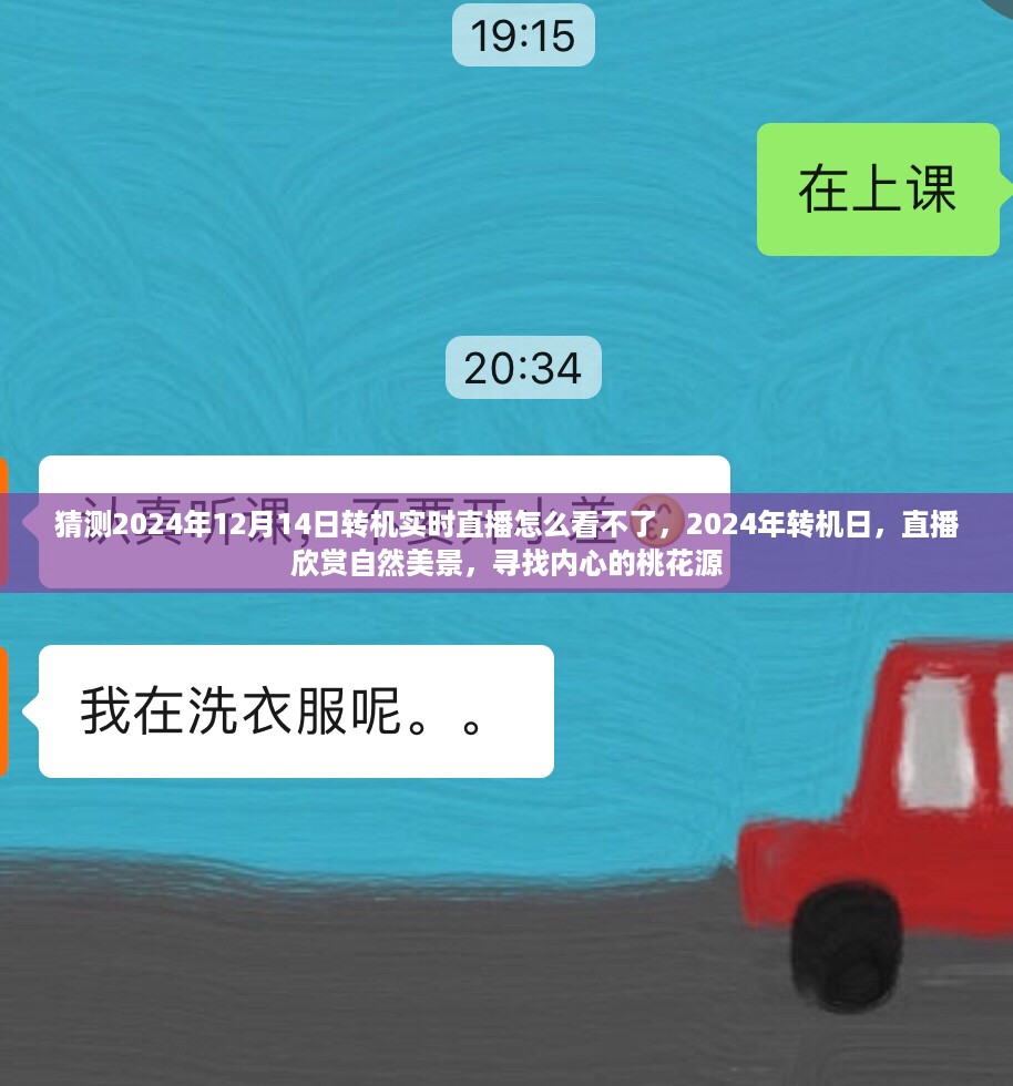 揭秘转机日直播无法观看之谜，自然美景与内心桃花源探寻之路