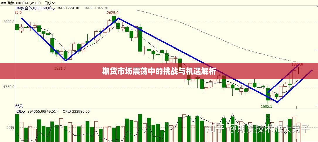 期货市场震荡中的挑战与机遇解析