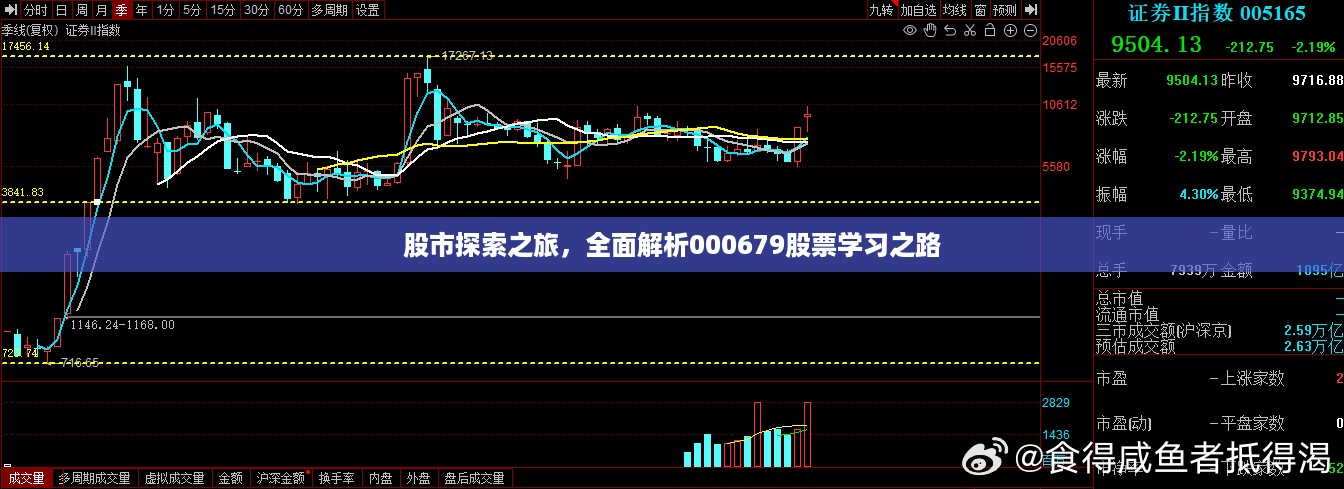 股市探索之旅，全面解析000679股票学习之路