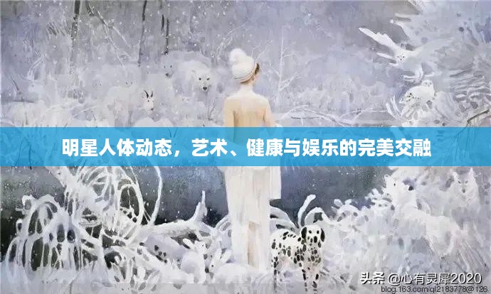 明星人体动态，艺术、健康与娱乐的完美交融