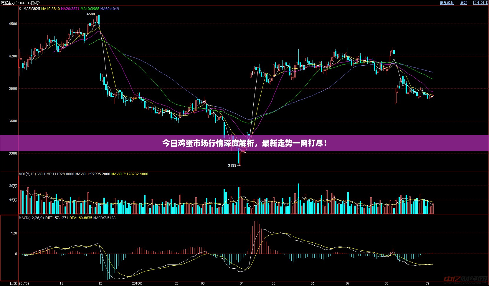 今日鸡蛋市场行情深度解析，最新走势一网打尽！