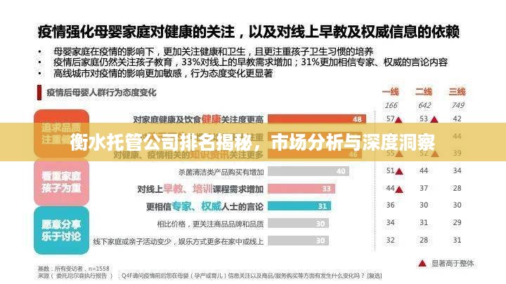 衡水托管公司排名揭秘，市场分析与深度洞察