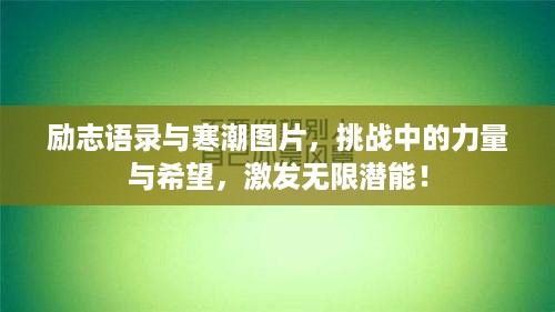 励志语录与寒潮图片，挑战中的力量与希望，激发无限潜能！