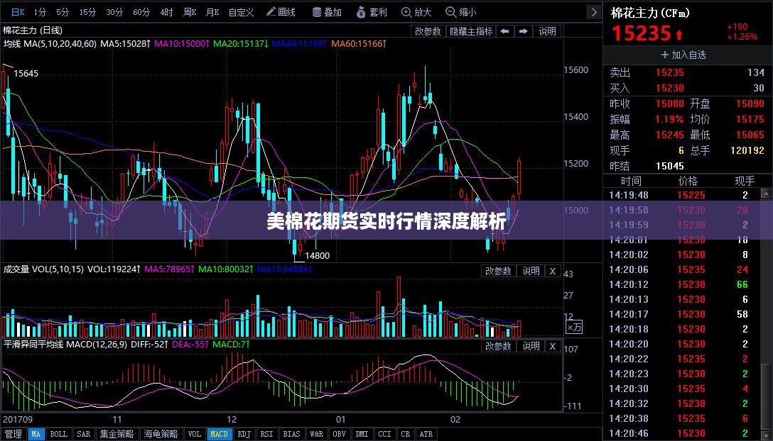 美棉花期货实时行情深度解析
