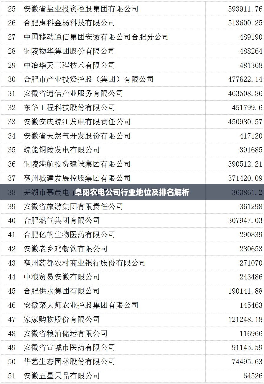 阜阳农电公司行业地位及排名解析